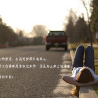 ͼƬֻ氲װ